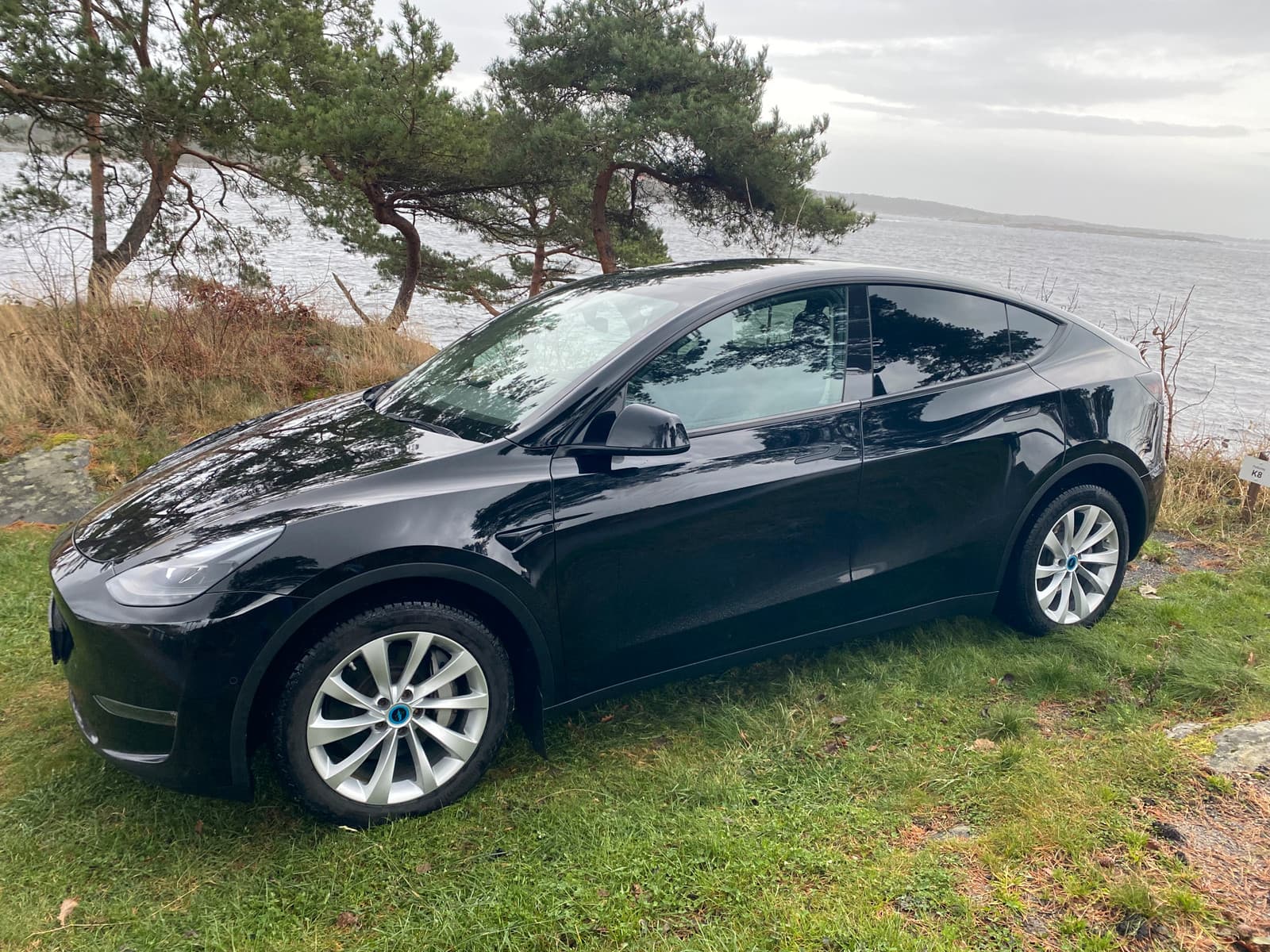 Tesla Model Y 2021