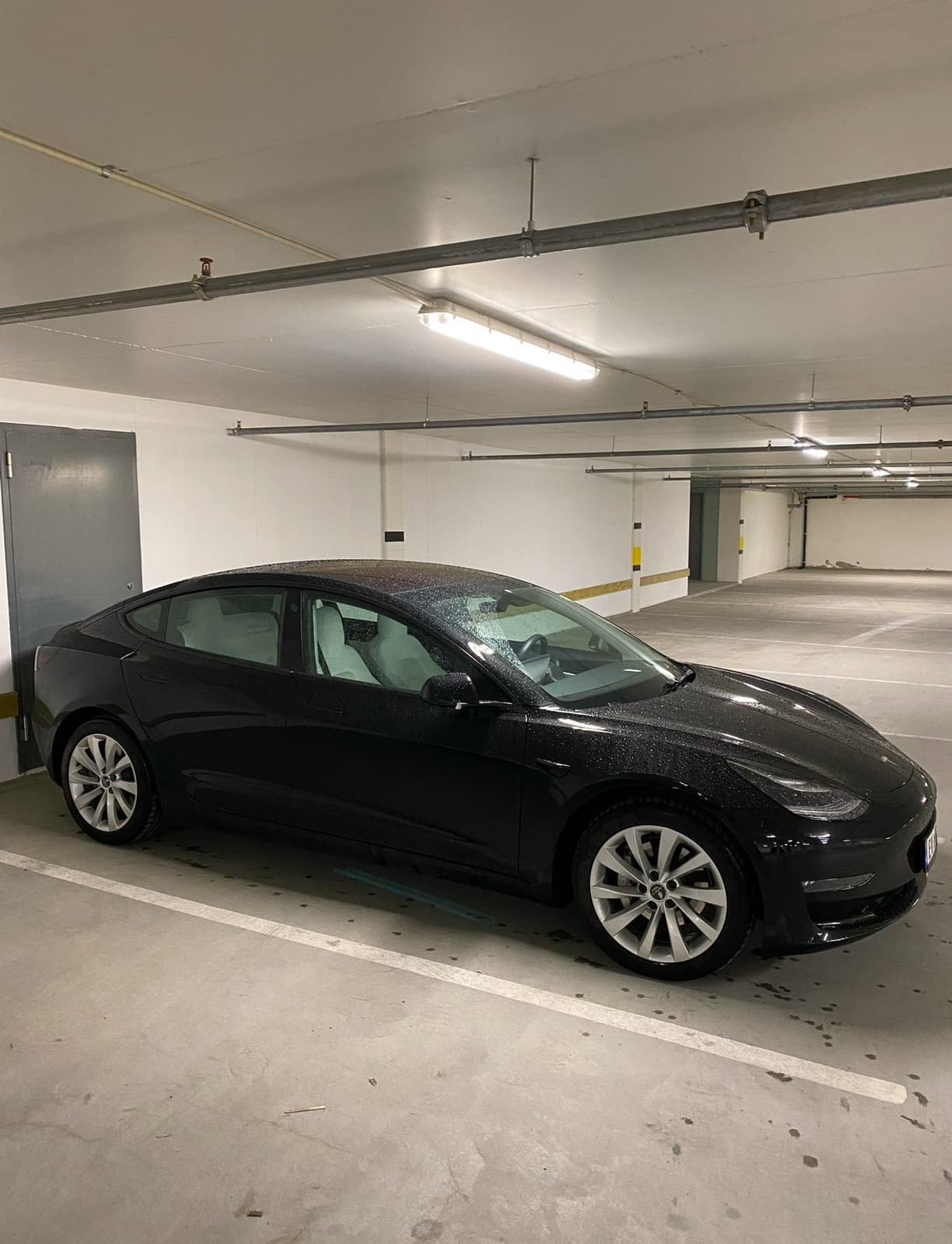 Tesla Model 3 2019