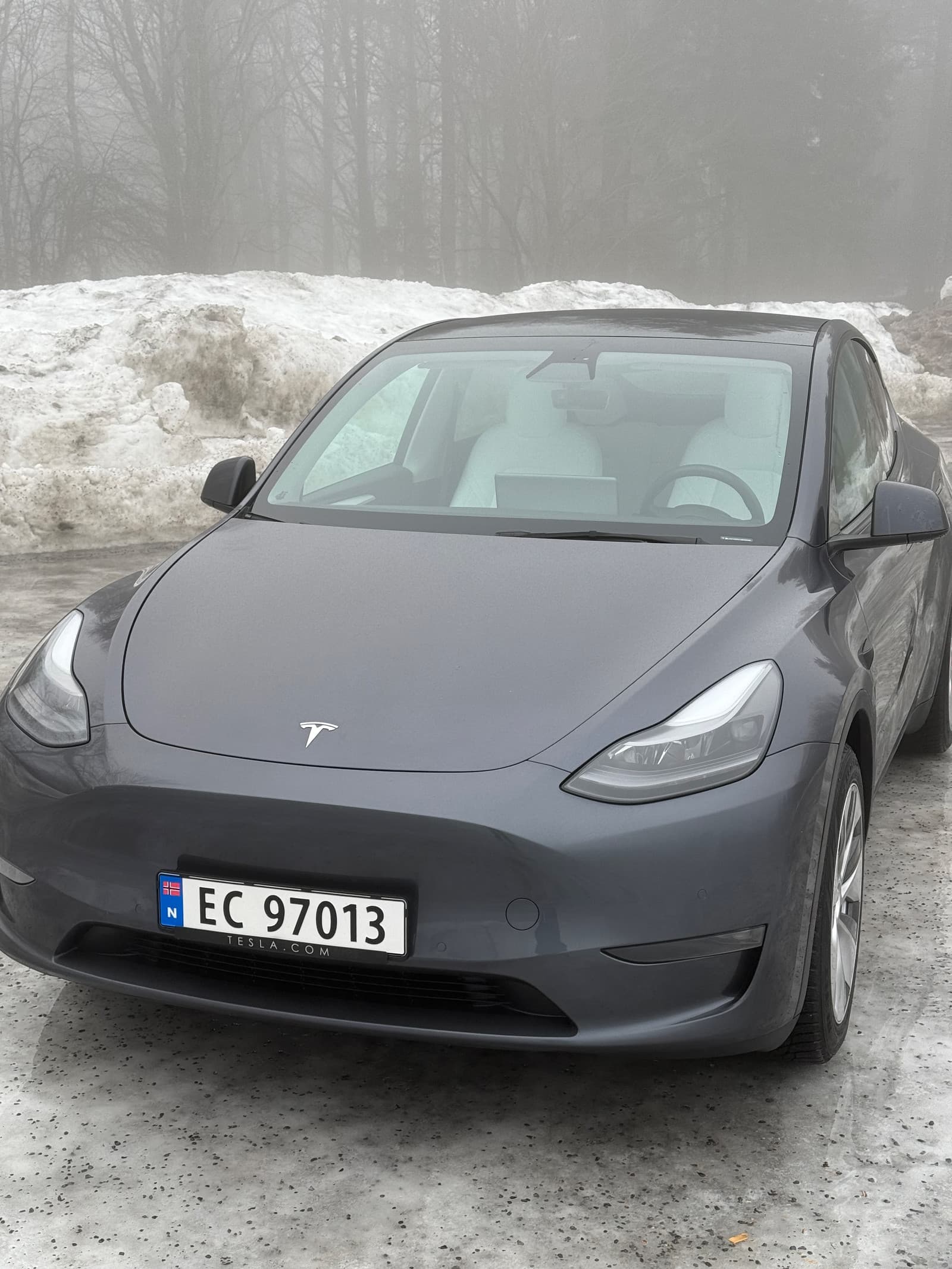 Tesla Model Y 2021