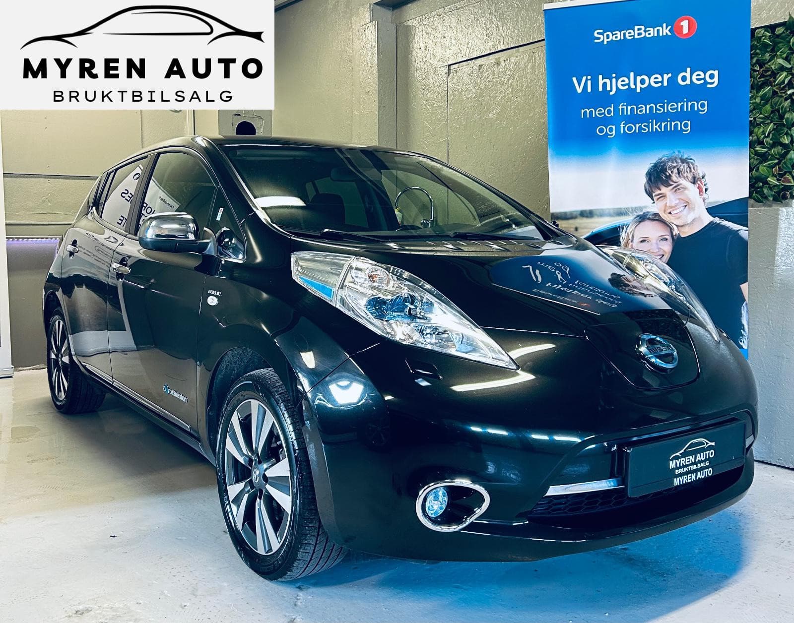 Nissan Leaf 2015